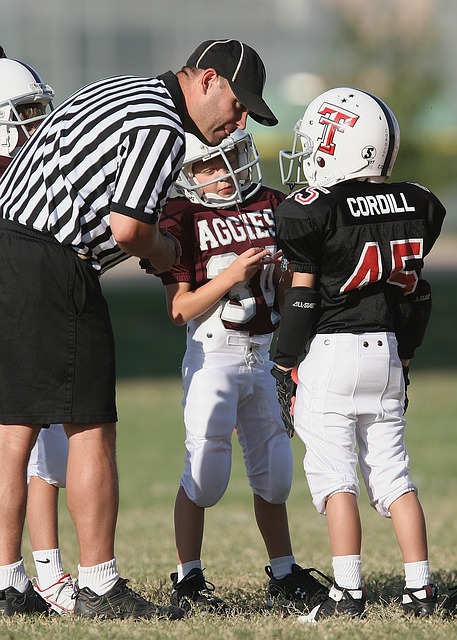 均衡的项目 均衡的项目