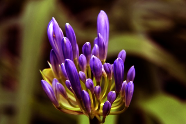 足球界的超 足球界的超