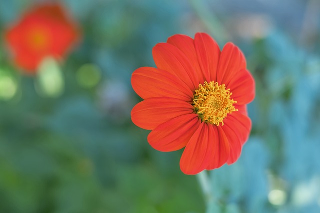 防线不够稳 防线不够稳