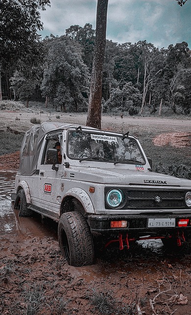 及时接受并 及时接受并