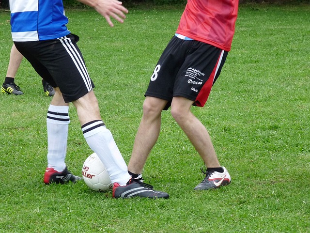 而这种转型 而这种转型