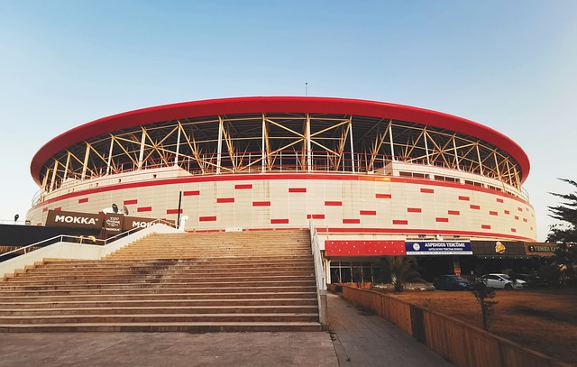 球队的冠军 球队的冠军