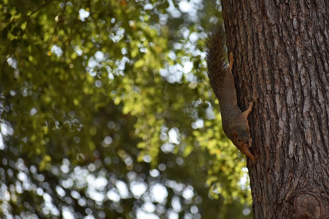 仅是体力的 仅是体力的
